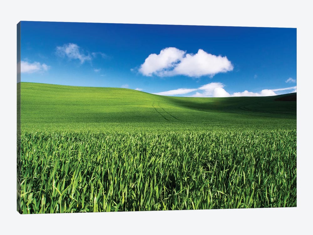 USA, Washington State, Palouse, Spring Wheat Field and Clouds by Terry Eggers 1-piece Canvas Art