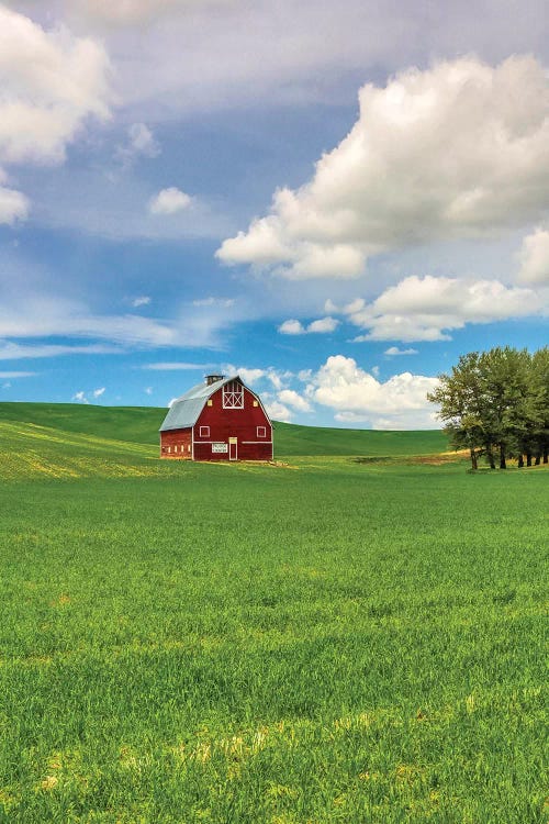 USA, Washington State, Red Barn in Spring