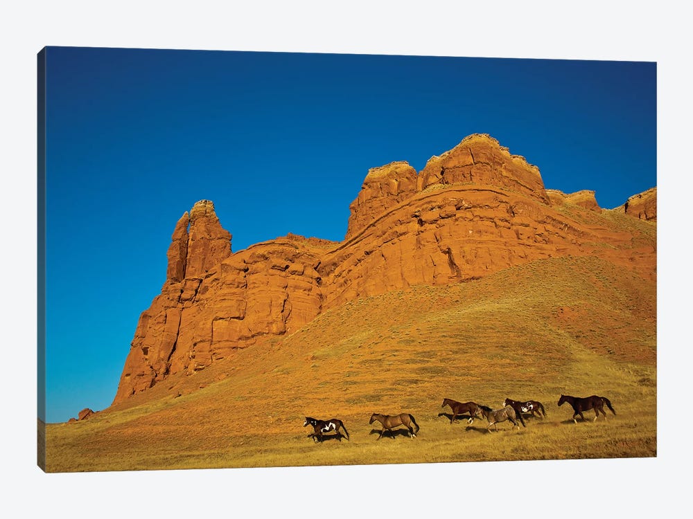 USA, Wyoming, Shell, Heard of Horses Running along the Red Rock hills by Terry Eggers 1-piece Art Print
