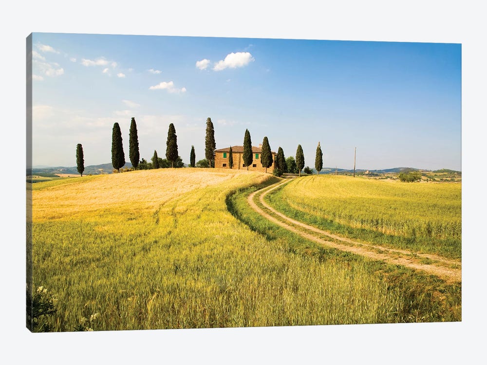 Countryside Villa, Tuscany Region, Italy by Terry Eggers 1-piece Canvas Print