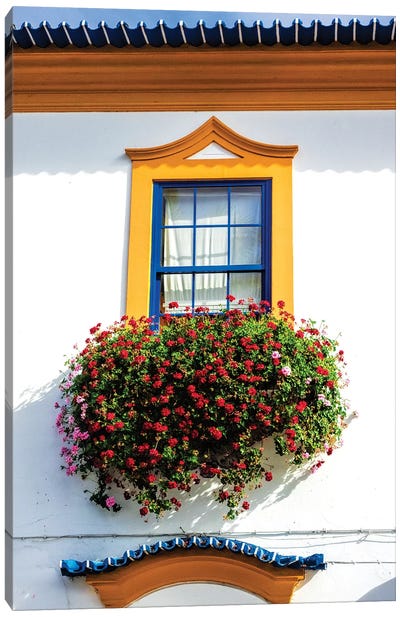 Portugal, Aveiro. Colorful houses. Canvas Art Print - Portugal Art