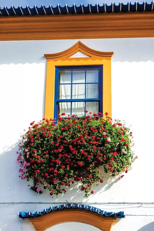 Portugal, Aveiro. Colorful houses.