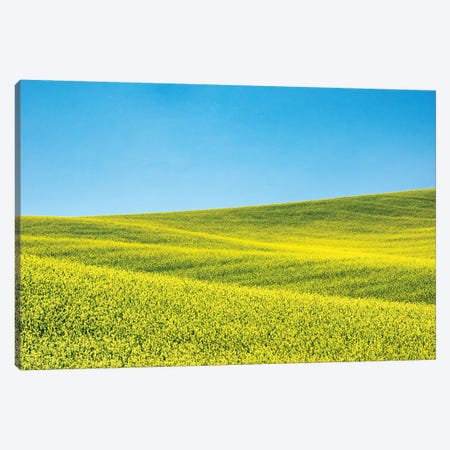 Canola field in Spring Canvas Print #TEG55} by Terry Eggers Canvas Artwork