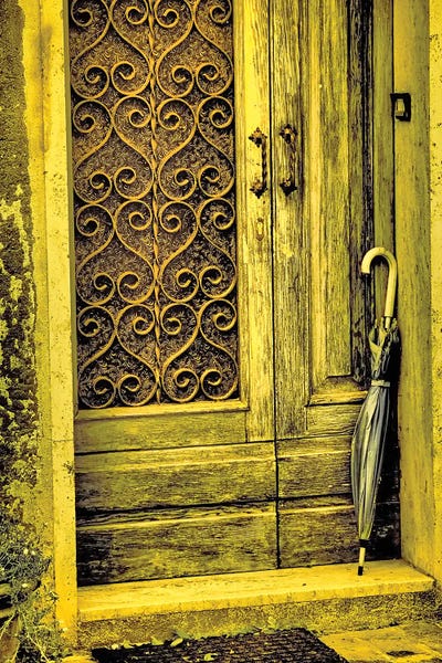 Terry Eggers: Italy, Chiusure. Infrared image of old door in typical buildings in the village. by Terry Eggers