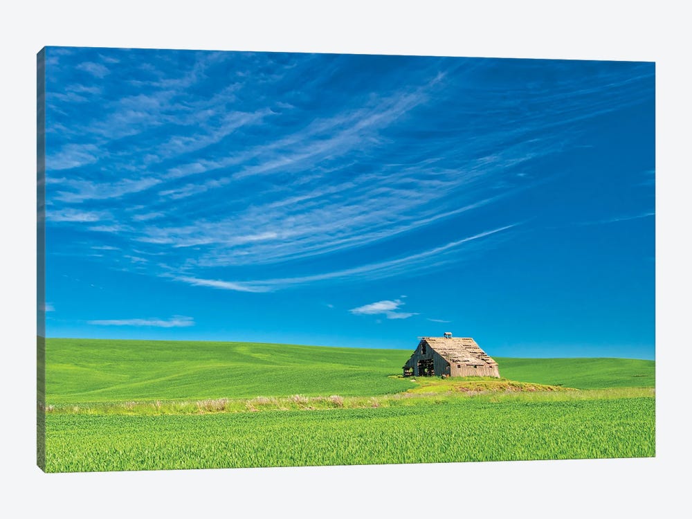 USA, Washington State, Palouse Region. Old Barn In Spring Wheat Field by Terry Eggers 1-piece Canvas Art Print