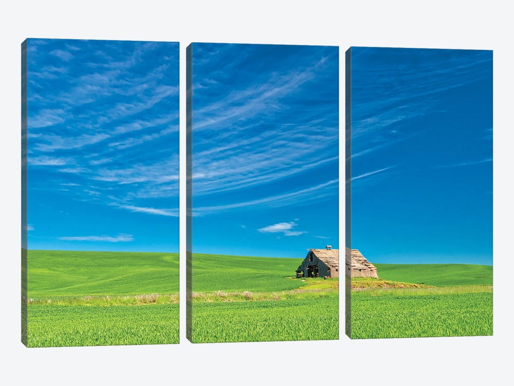 USA, Washington State, Palouse Region. Old Barn In Spring Wheat Field by Terry Eggers 3-piece Canvas Print