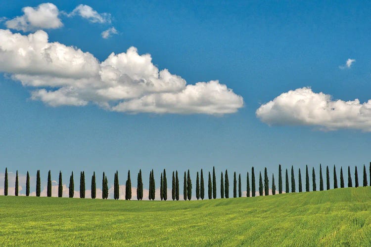 Italy, Tuscany. View Of Long Rows Of Cypress Trees by Terry Eggers wall art