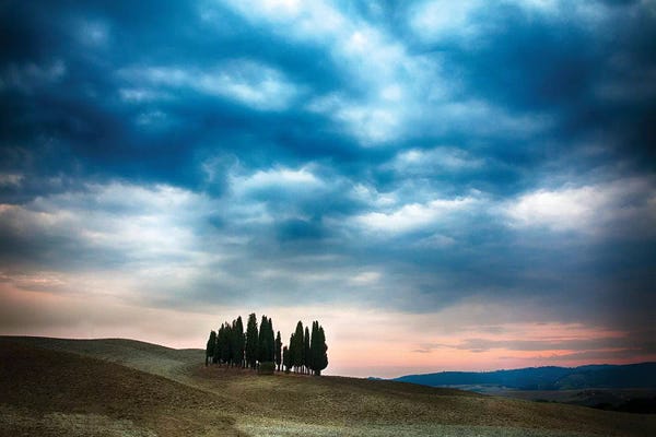 Cypress Trees: Cloudy Countryside Landscape, Siena Province, Tuscany Region, Italy by Terry Eggers