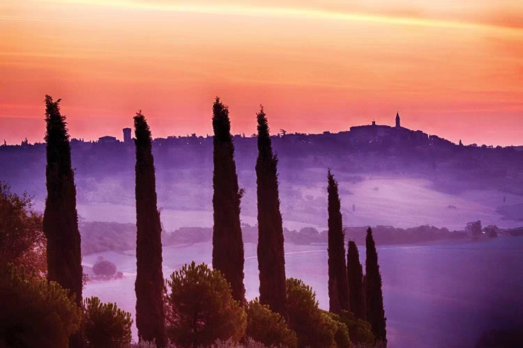 Morning Fog, Siena Province, Tuscany Region, Italy by Terry Eggers wall art