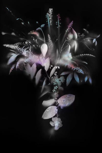 Natural Veil IV (Negative) by Teis Albers art print