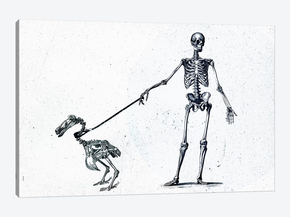 Walking My Dodo by Teis Albers 1-piece Canvas Artwork
