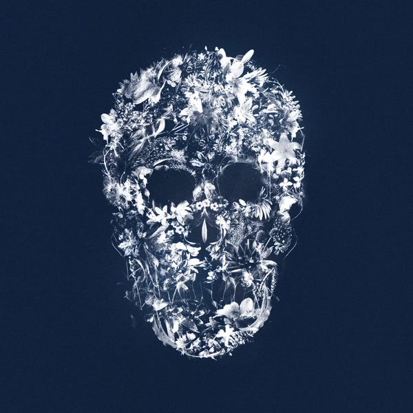 Teis Albers: Skull Silhouette by Teis Albers