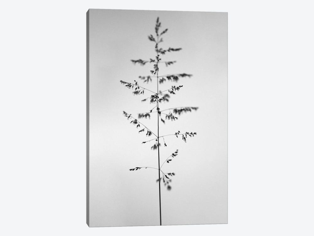 Amid The Flowers XXIV by Teis Albers 1-piece Canvas Art Print