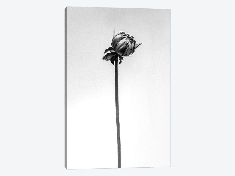 Amid The Flowers XXVI by Teis Albers 1-piece Canvas Print