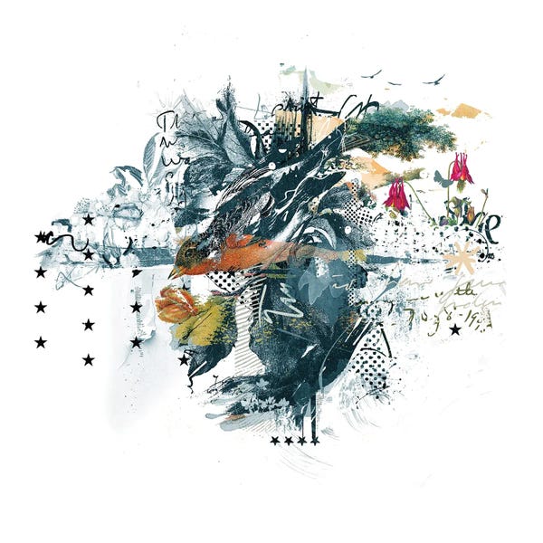 Bird Collage I