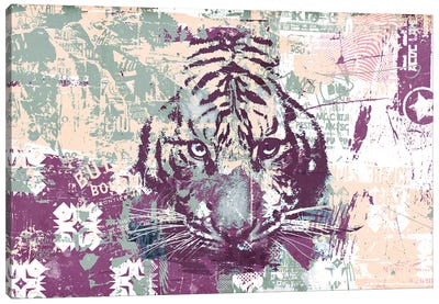 Tiger Stare Canvas Art Print - Teis Albers