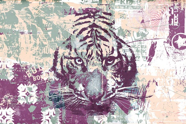 Teis Albers: Tiger Stare by Teis Albers