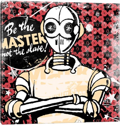 Be The Master Canvas Art Print - Teis Albers