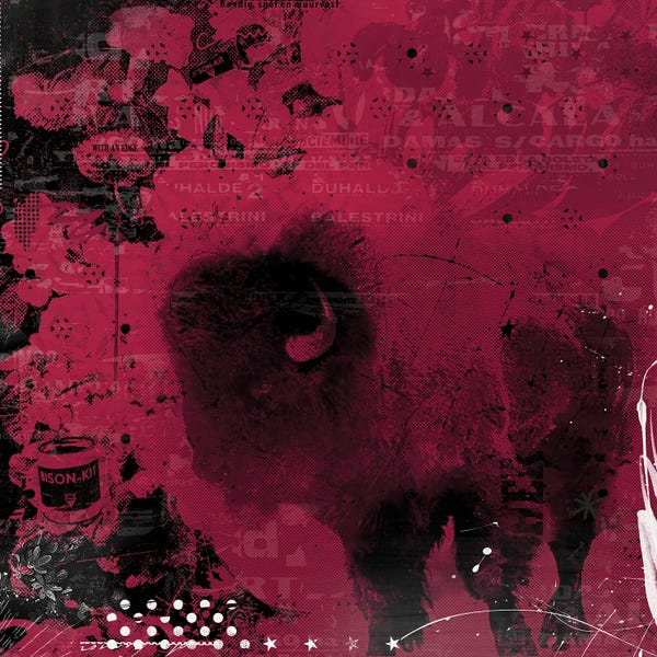 Bison & Buffaloes: Bison by Teis Albers