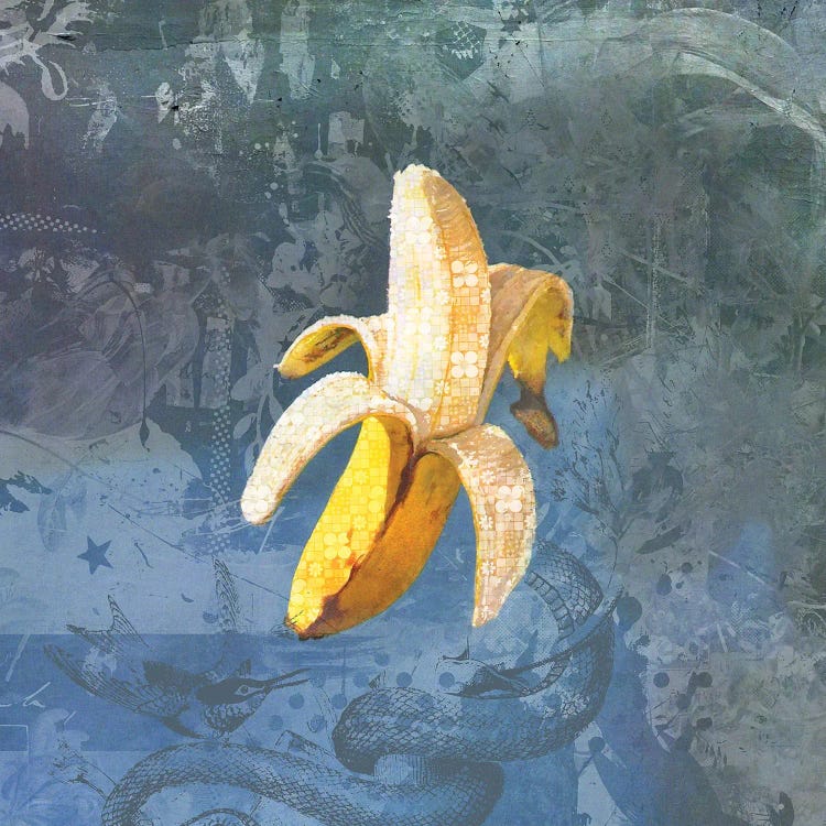 Bananaz by Teis Albers wall art