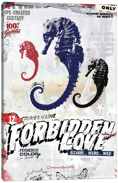 Forbidden Love Canvas Art Print - Seahorse Art