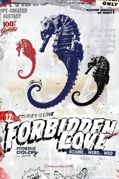 Seahorses: Forbidden Love by Teis Albers