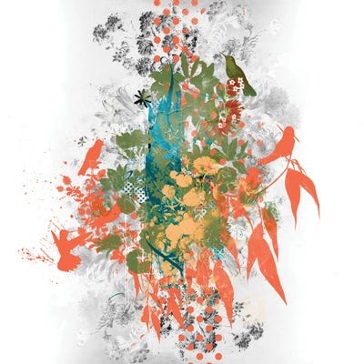 Birdbranch by Teis Albers art print