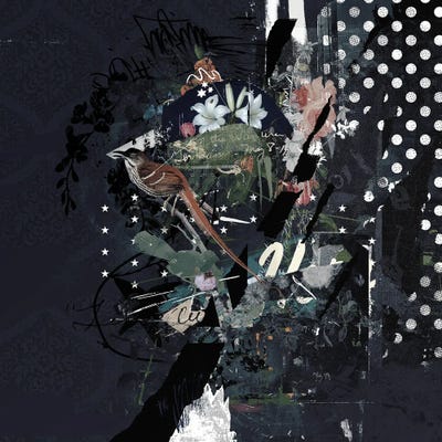 Floraliners by Teis Albers framed wall art