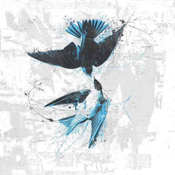 Teis Albers: Spiraling Birdies by Teis Albers
