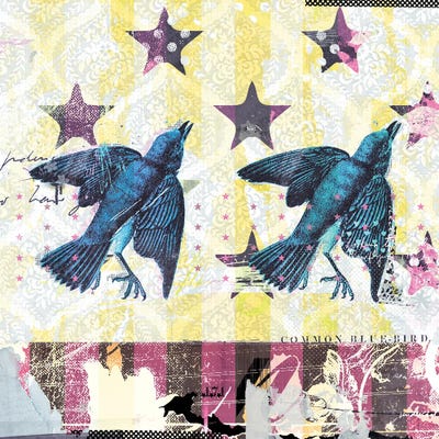 Common Bluebird by Teis Albers framed wall art