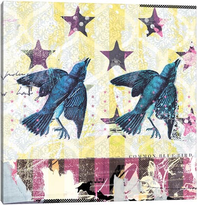Common Bluebird Canvas Art Print - Teis Albers
