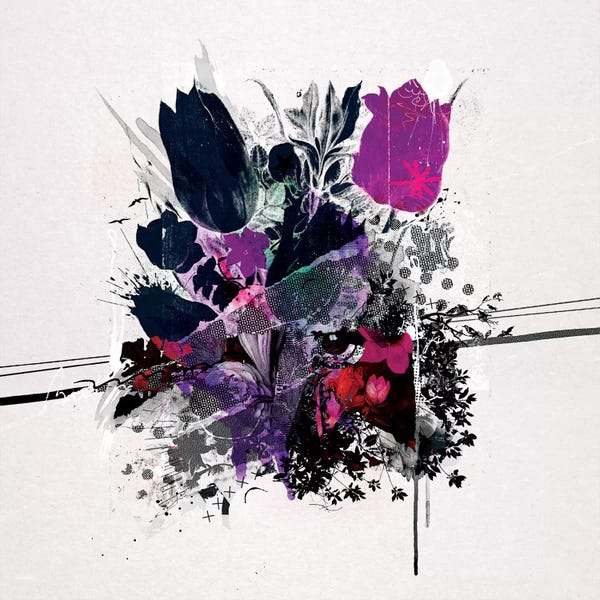 Tulips: Tulips by Teis Albers