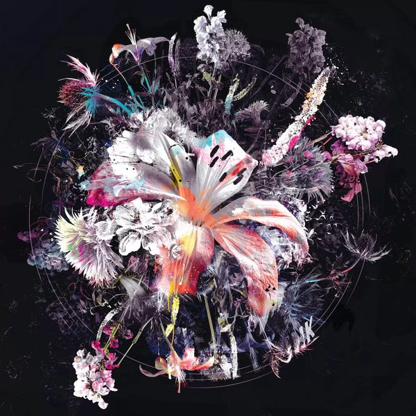 Lilies: Bouquet XIII by Teis Albers