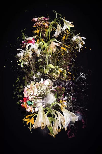 Bouquet I by Teis Albers multi panel art