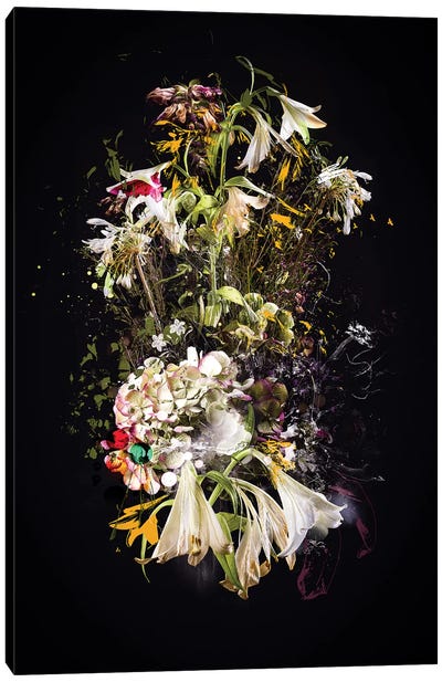 Bouquet I Canvas Art Print - Teis Albers