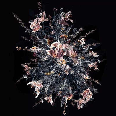 Bouquet II by Teis Albers canvas print