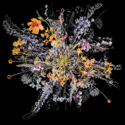 Bouquet III by Teis Albers art print