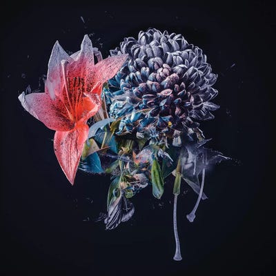 Bouquet VI by Teis Albers canvas print