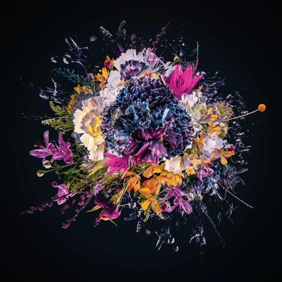 Bouquet VII by Teis Albers framed wall art