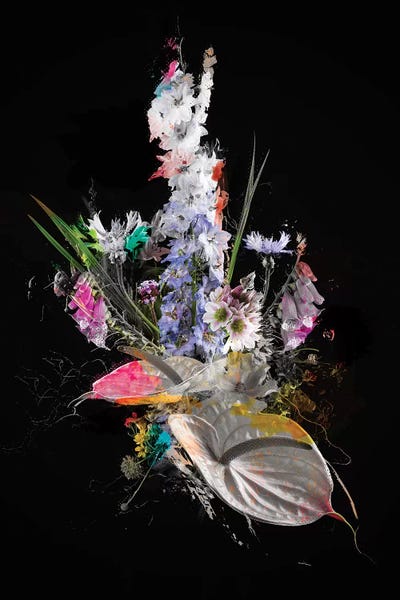 Teis Albers: Bouquet XIV by Teis Albers