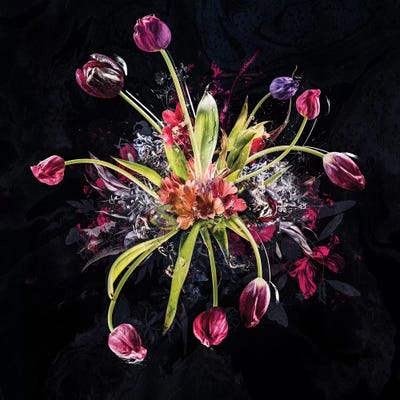 Bouquet XVIII by Teis Albers canvas print