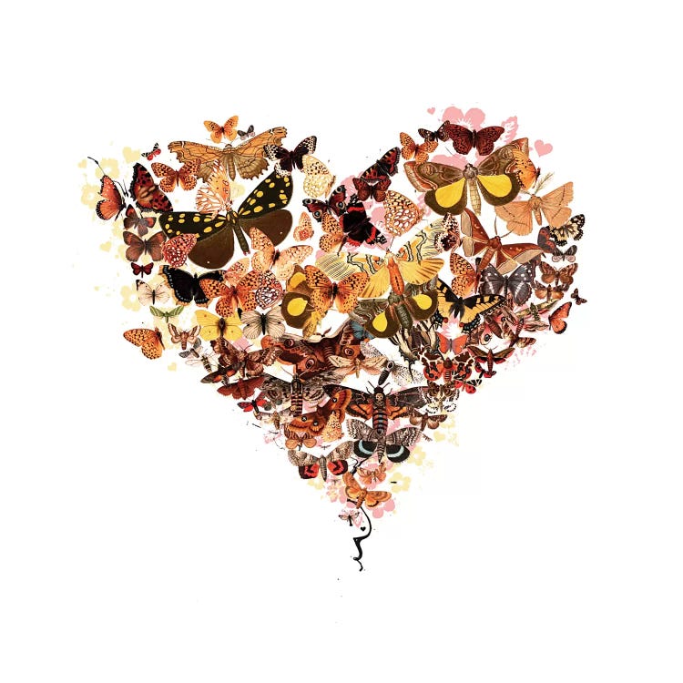 Butterfly Heart by Teis Albers wall art