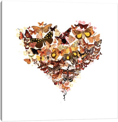 Butterfly Heart Canvas Art Print - Insect & Bug Art
