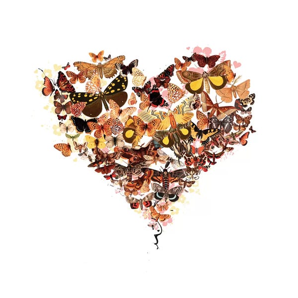 Monarch Butterflies: Butterfly Heart by Teis Albers