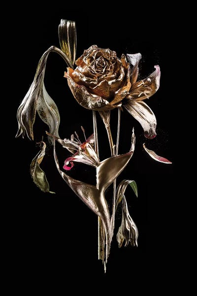 Bouquet XIX by Teis Albers canvas print