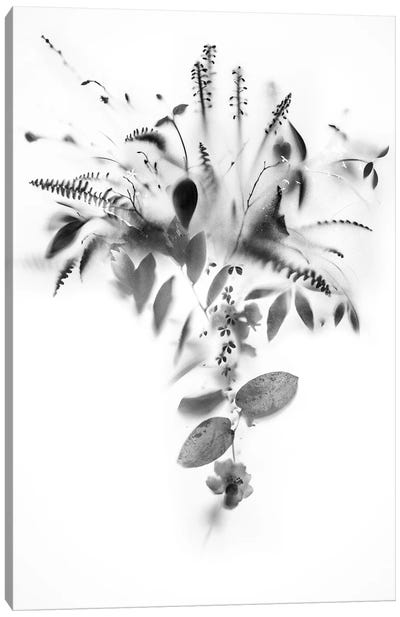 Natural Veil IV Canvas Art Print - Teis Albers