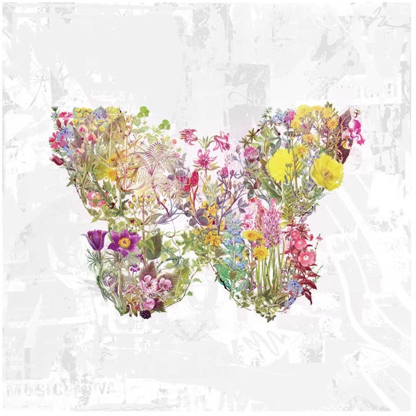 Butterflies and Flowers: Butterfly Of Flowers by Teis Albers