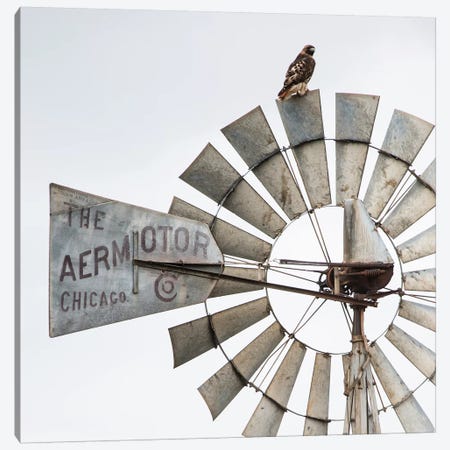 Aermotor Windmill And Hawk Canvas Print #TEJ1} by Teri James Canvas Art