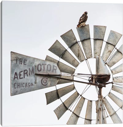 Aermotor Windmill And Hawk Canvas Art Print - Teri James