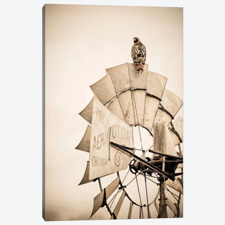 Hawk And Windmill Tan Canvas Print #TEJ37} by Teri James Canvas Print